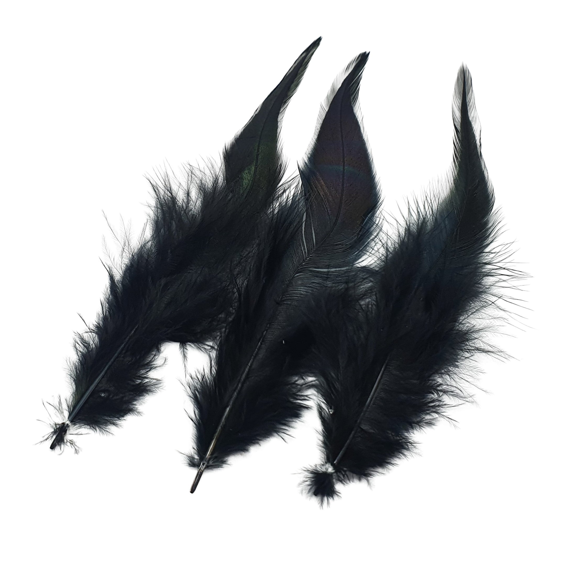 Black Cock Rooster Feathers Strung (Bundle)