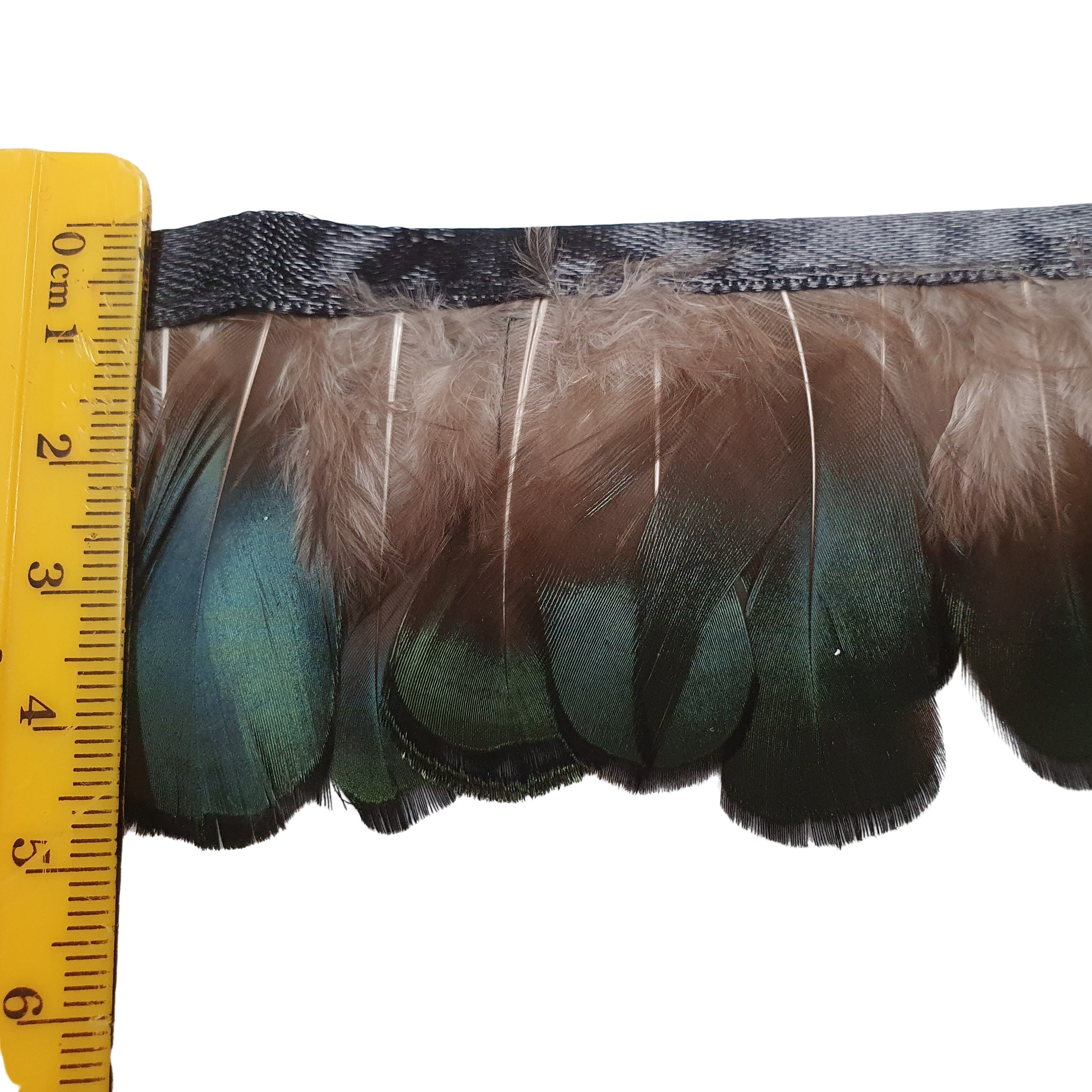 Green Lady Pheasant Feathers on band