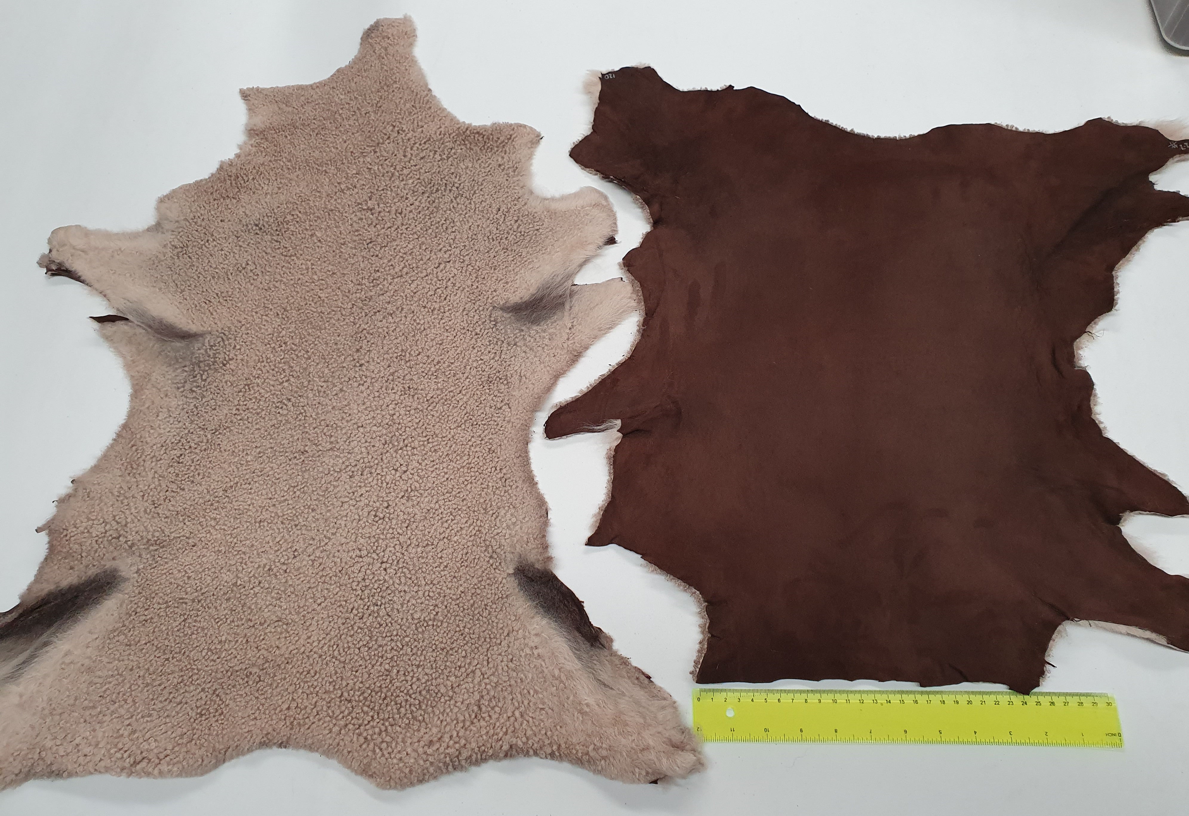 Slink Lamb Skins; Light Brown with Dark Brown Back