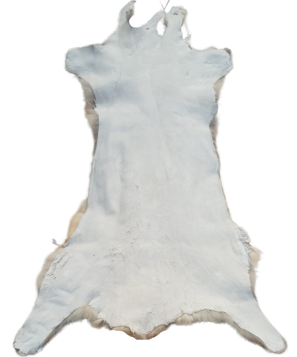 Possum Skins