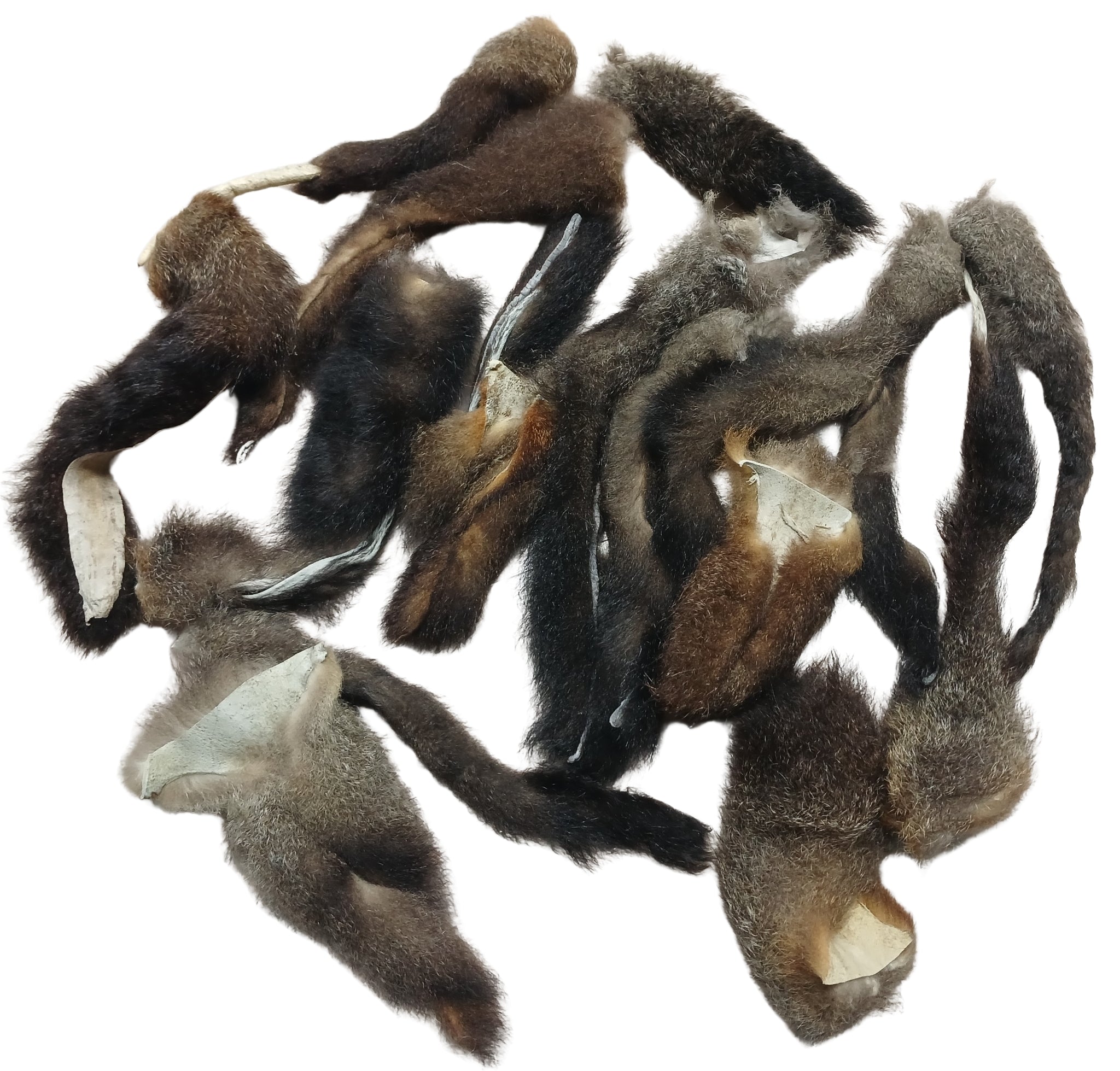 Possum Tails