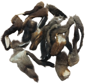 Possum Tails