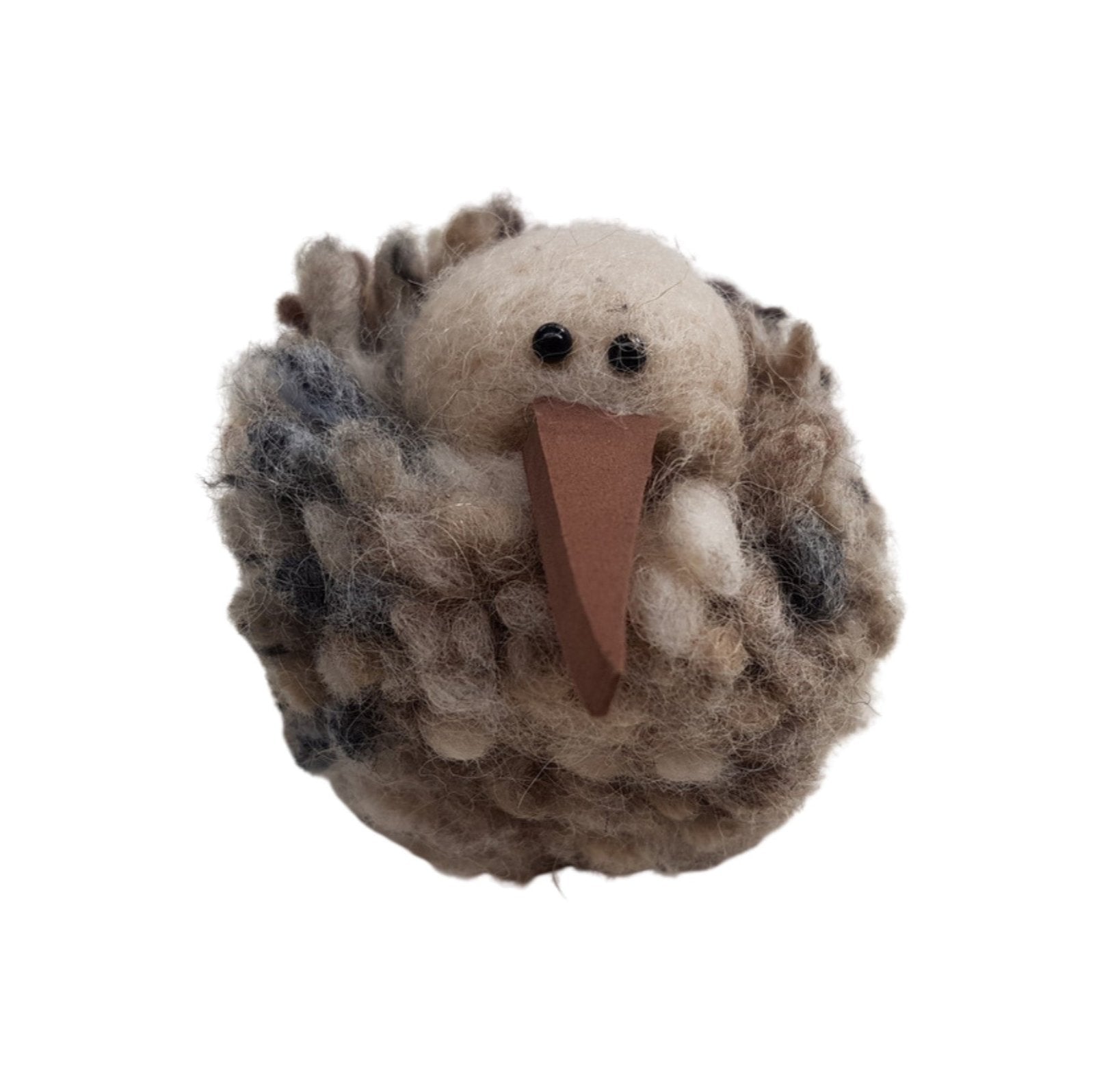 Wool Felted Kiwi