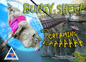 Kawarau Bridge Bungy Sheep