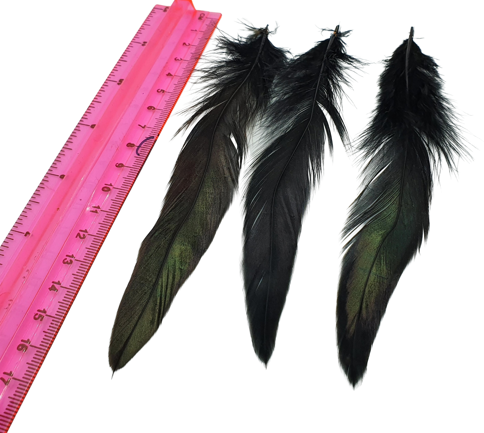 Long Black Rooster Feathers Strung (Bundle)