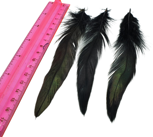 Long Black Rooster Feathers Strung (Bundle) – Rozcraft Ltd