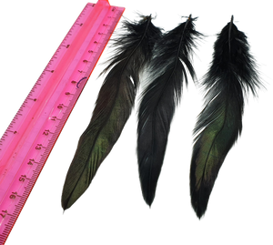 Long Black Rooster Feathers Strung (Bundle)