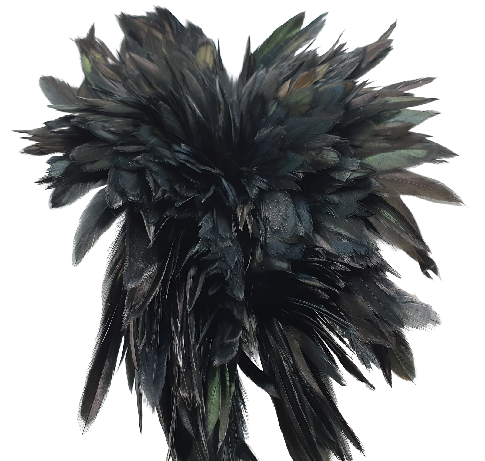 Long Black Rooster Feathers Strung (Bundle)