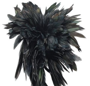 Long Black Rooster Feathers Strung (Bundle)
