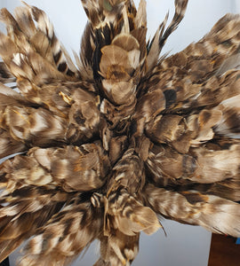 strung rooster feathers