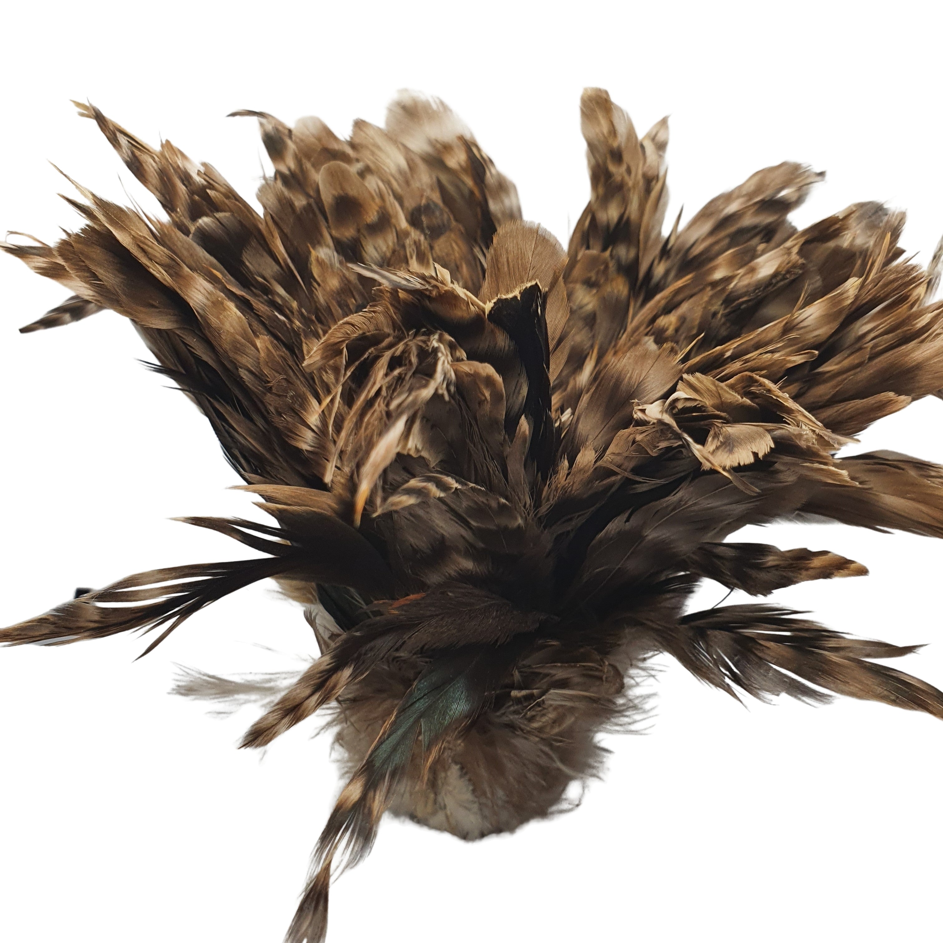 Long Black Rooster Feathers Strung (Bundle) – Rozcraft Ltd