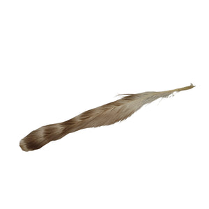 rooster chinchilla feather