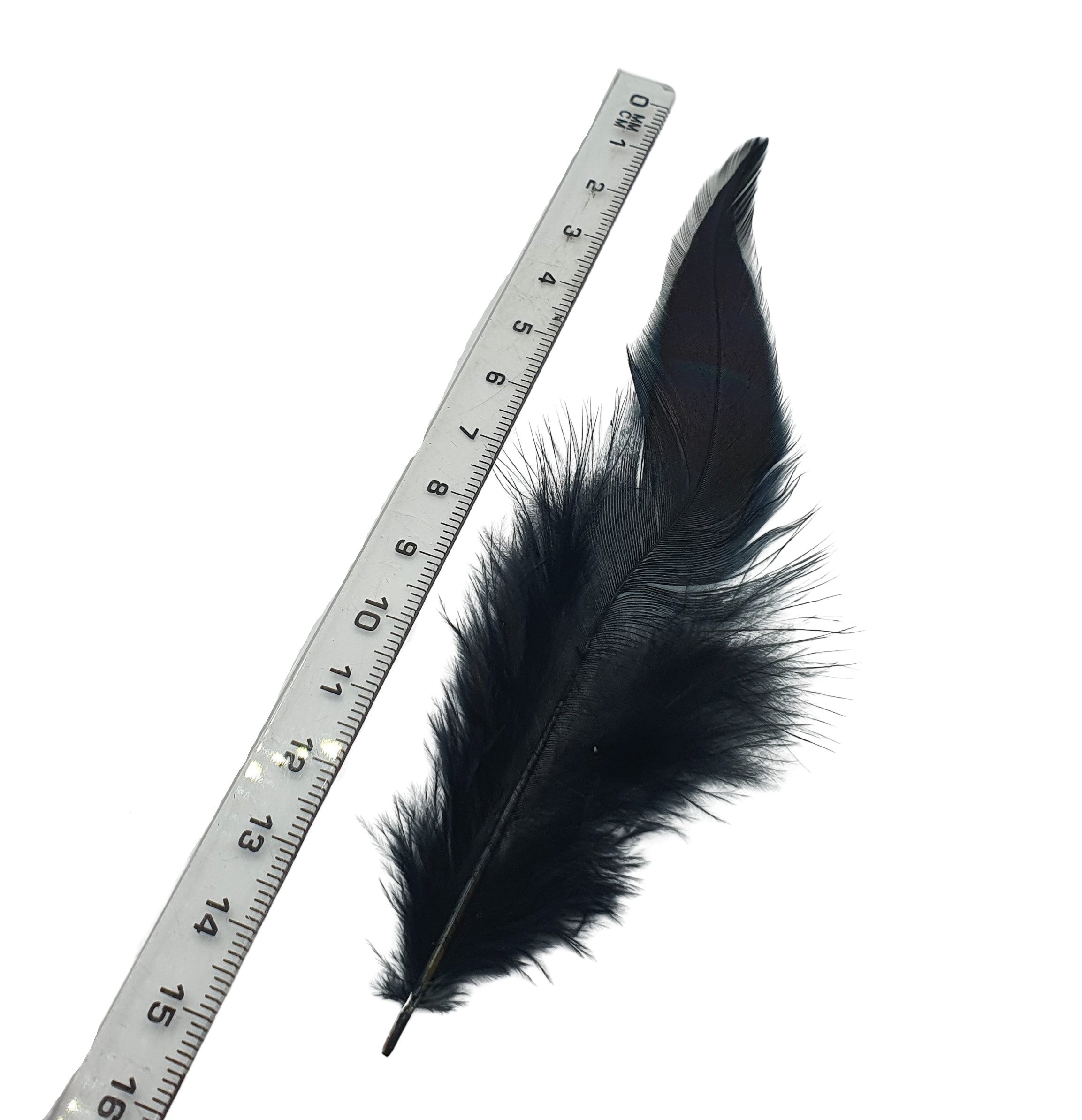 Black Cock Rooster Feathers Strung (Bundle)