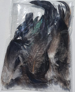 Rooster Feathers Loose, Natural (Undyed)
