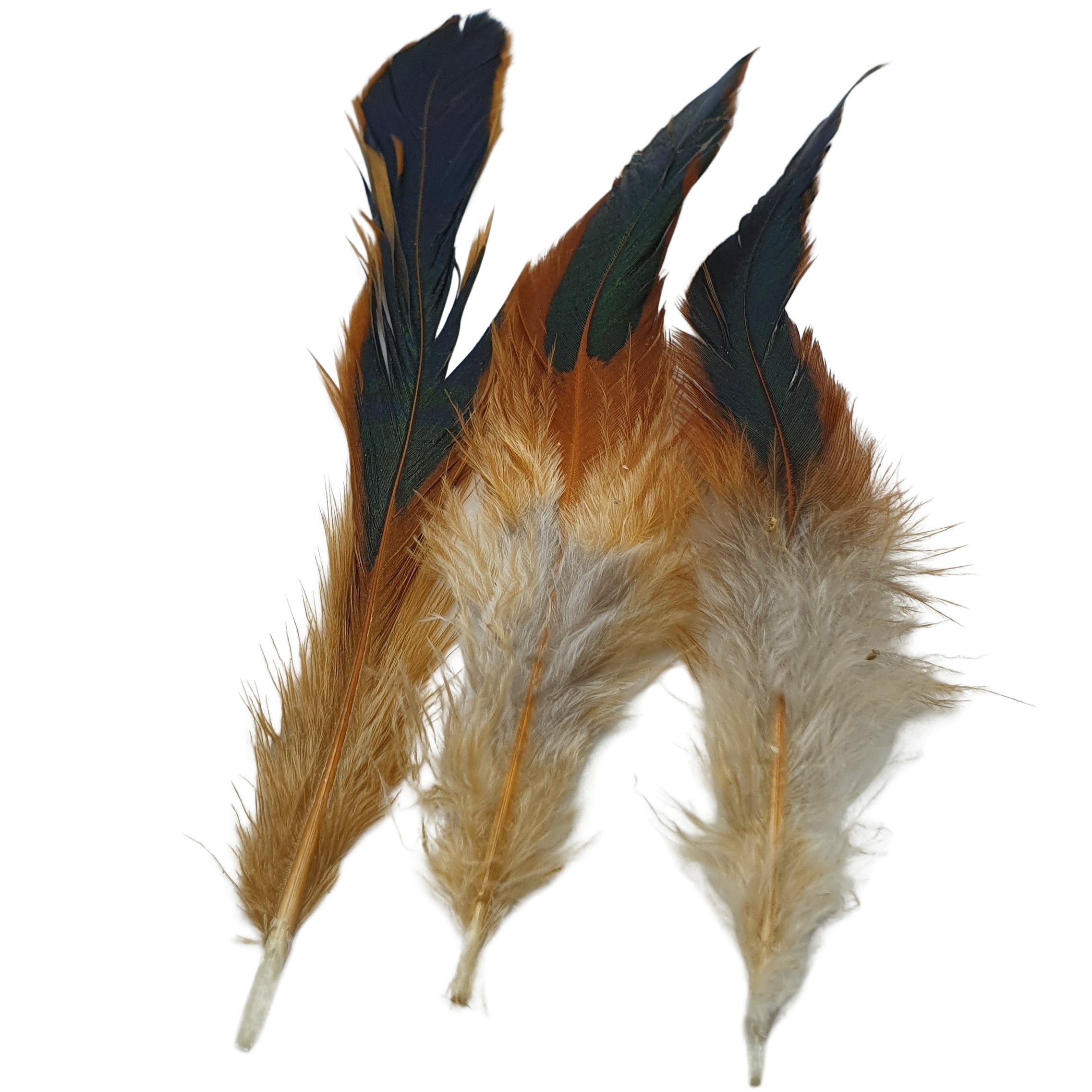 Long Brown Rooster Feathers Strung (Bundle)