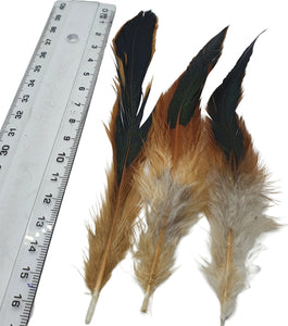 Long Brown Rooster Feathers Strung (Bundle)