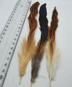 Long Brown Rooster Feathers Strung (Bundle)