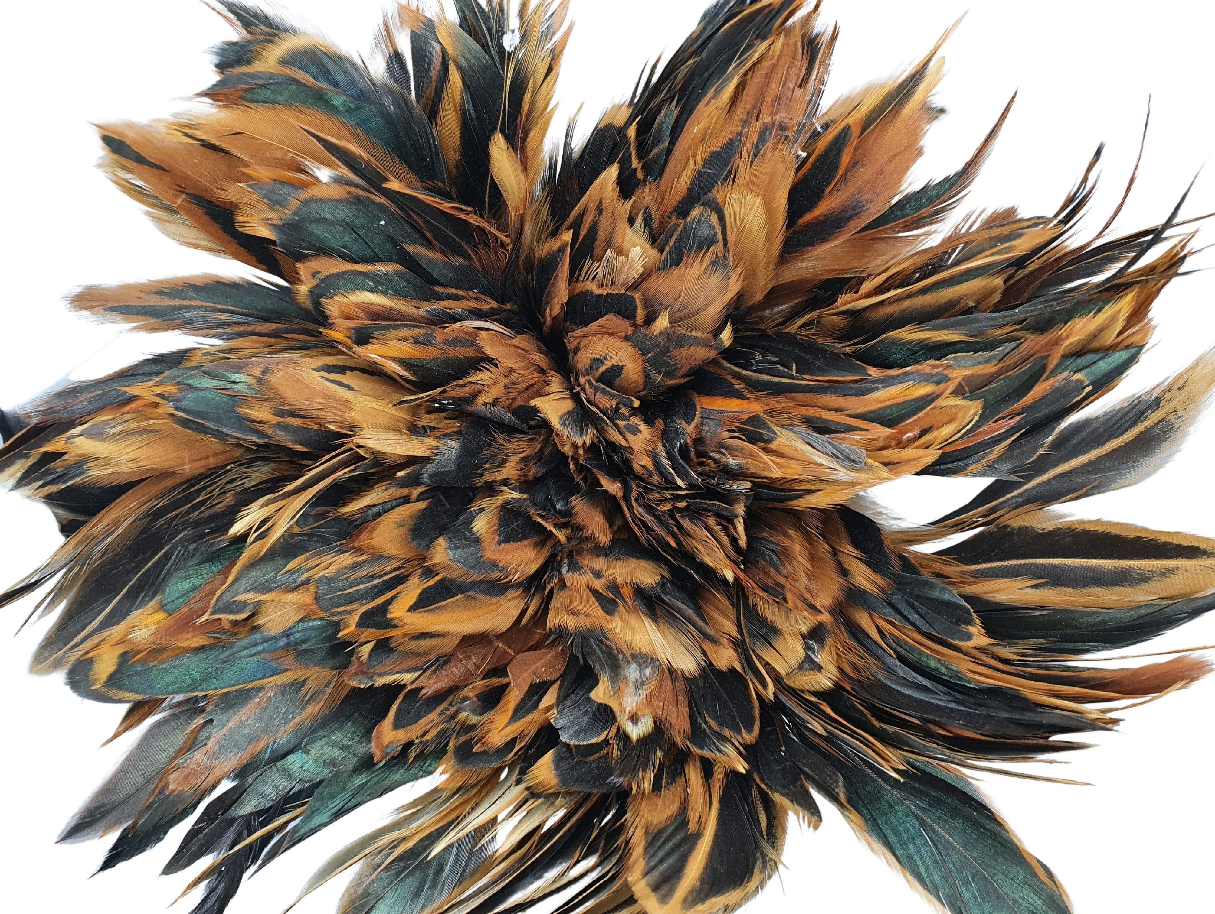 Long Brown Rooster Feathers Strung (Bundle) – Rozcraft Ltd