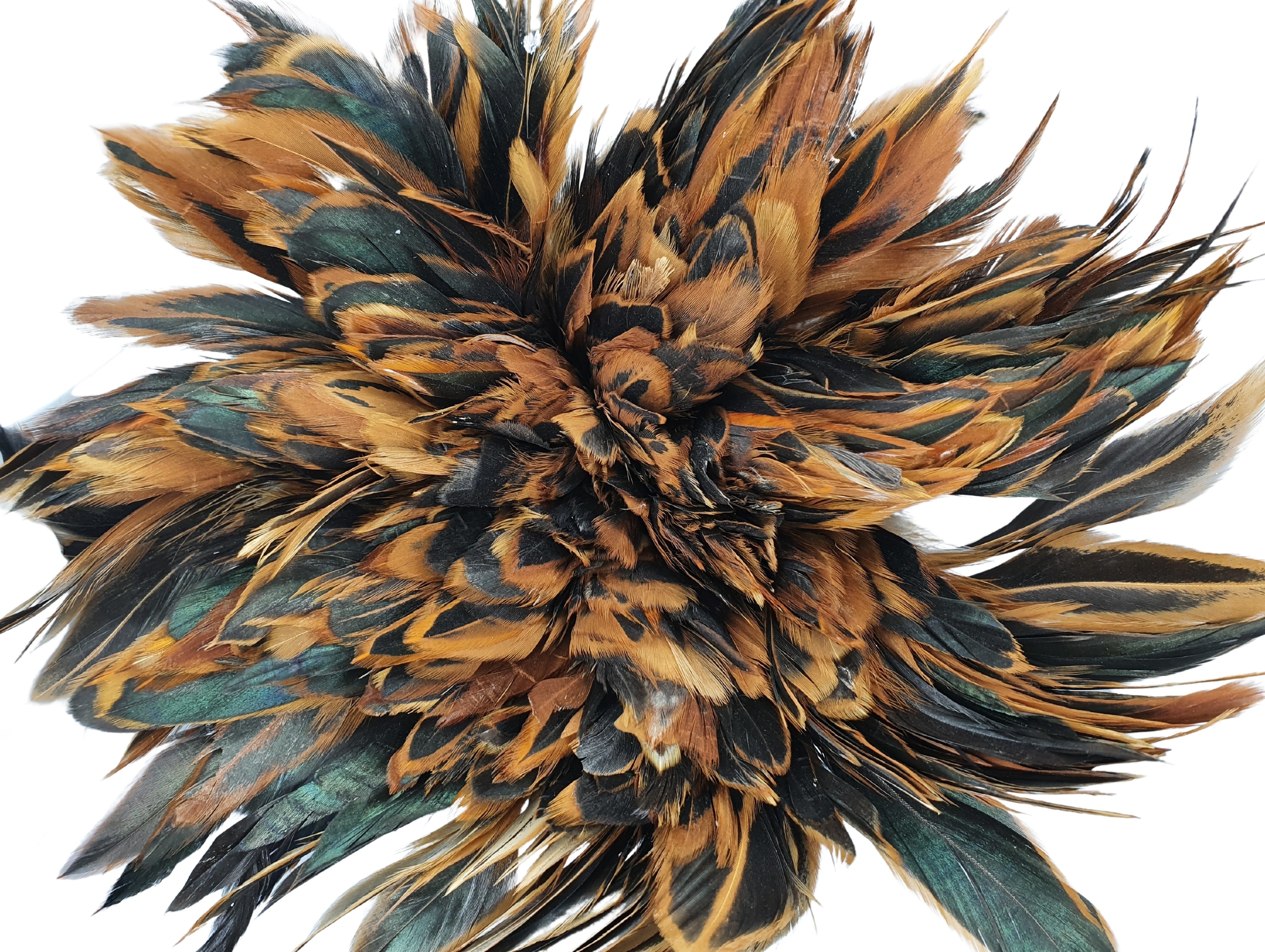 Long Brown Rooster Feathers Strung (Bundle)