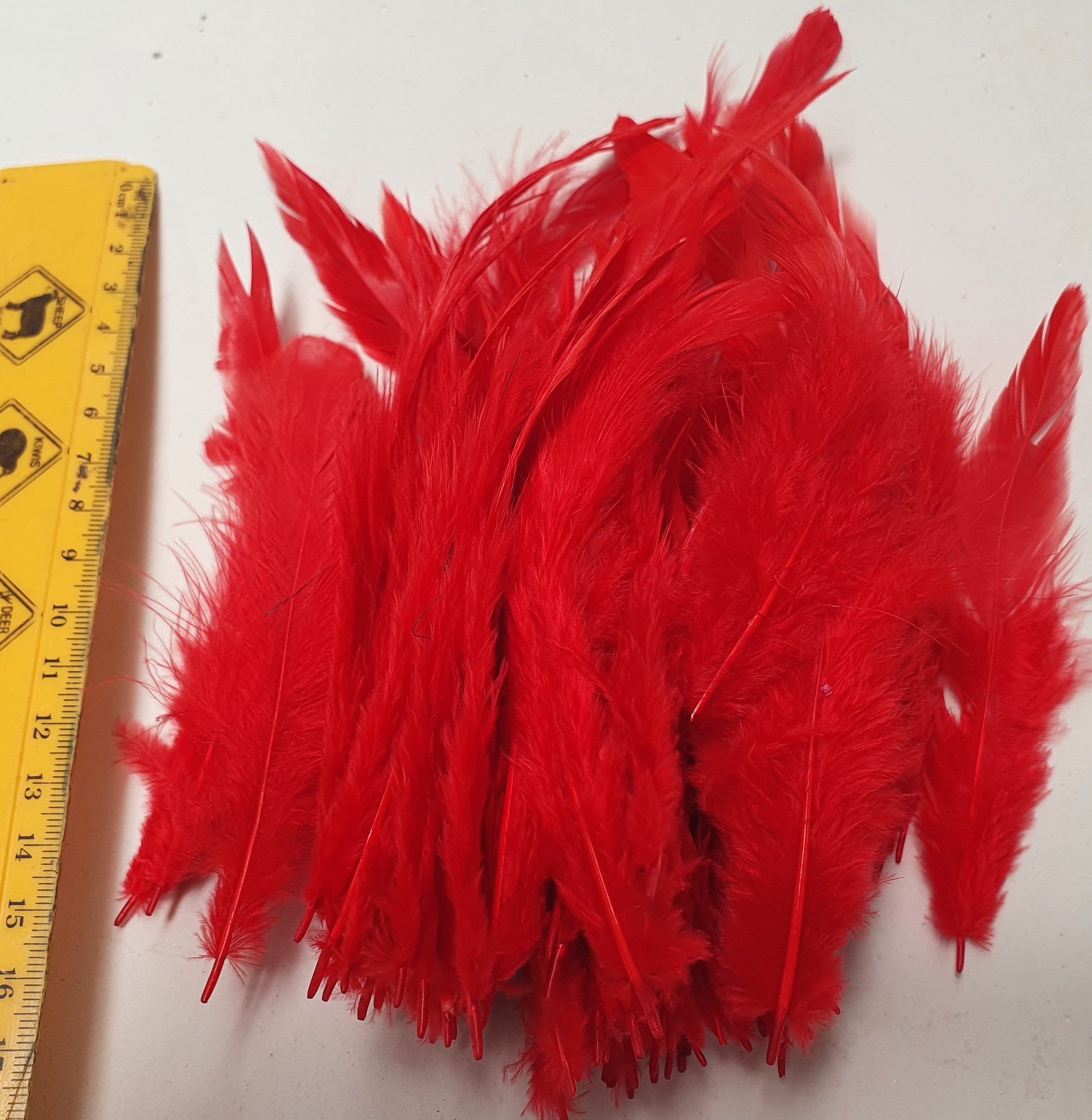 Long Rooster Feather Packets (Colours)