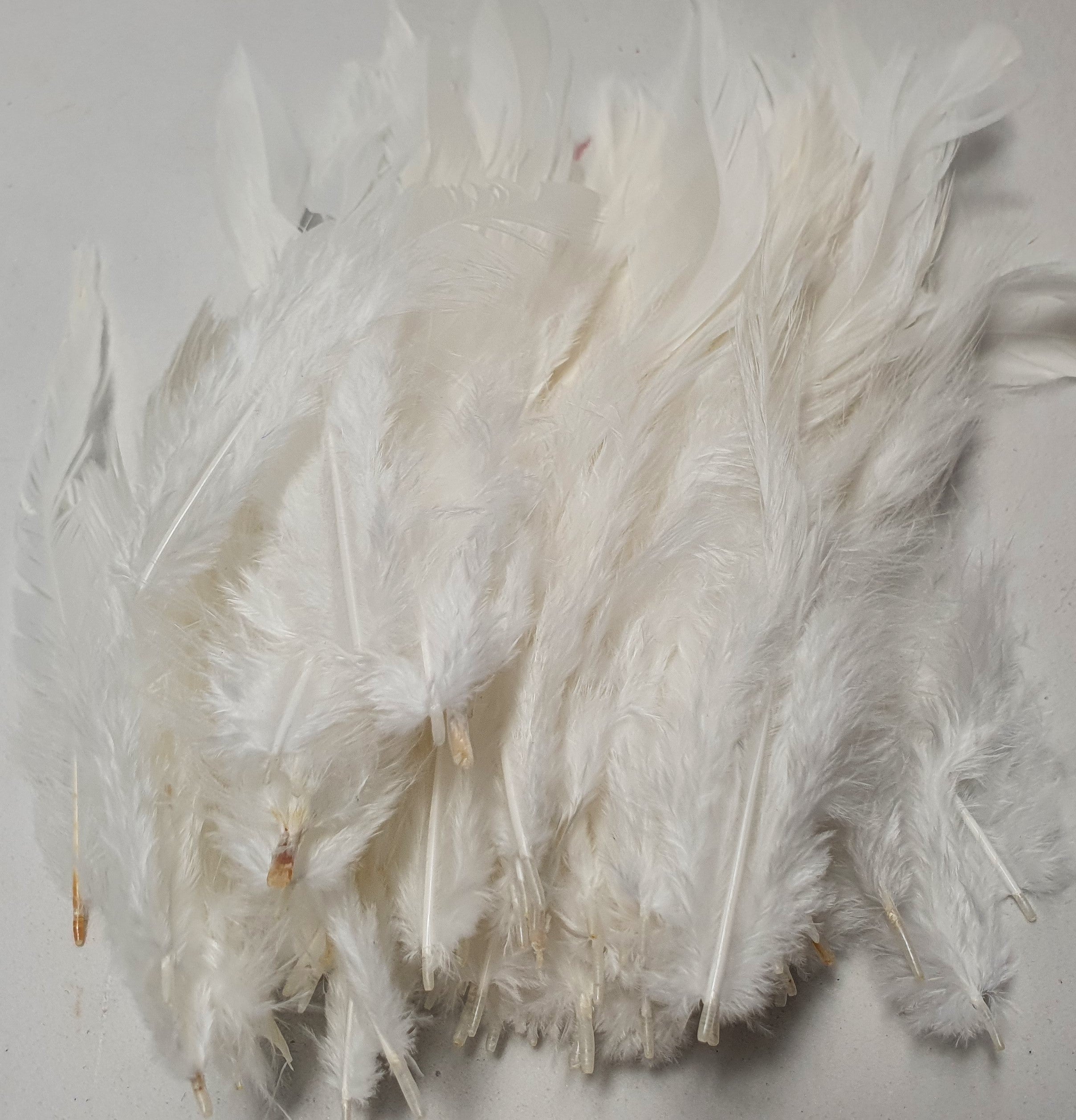 Long Rooster Feather Packets (Colours)