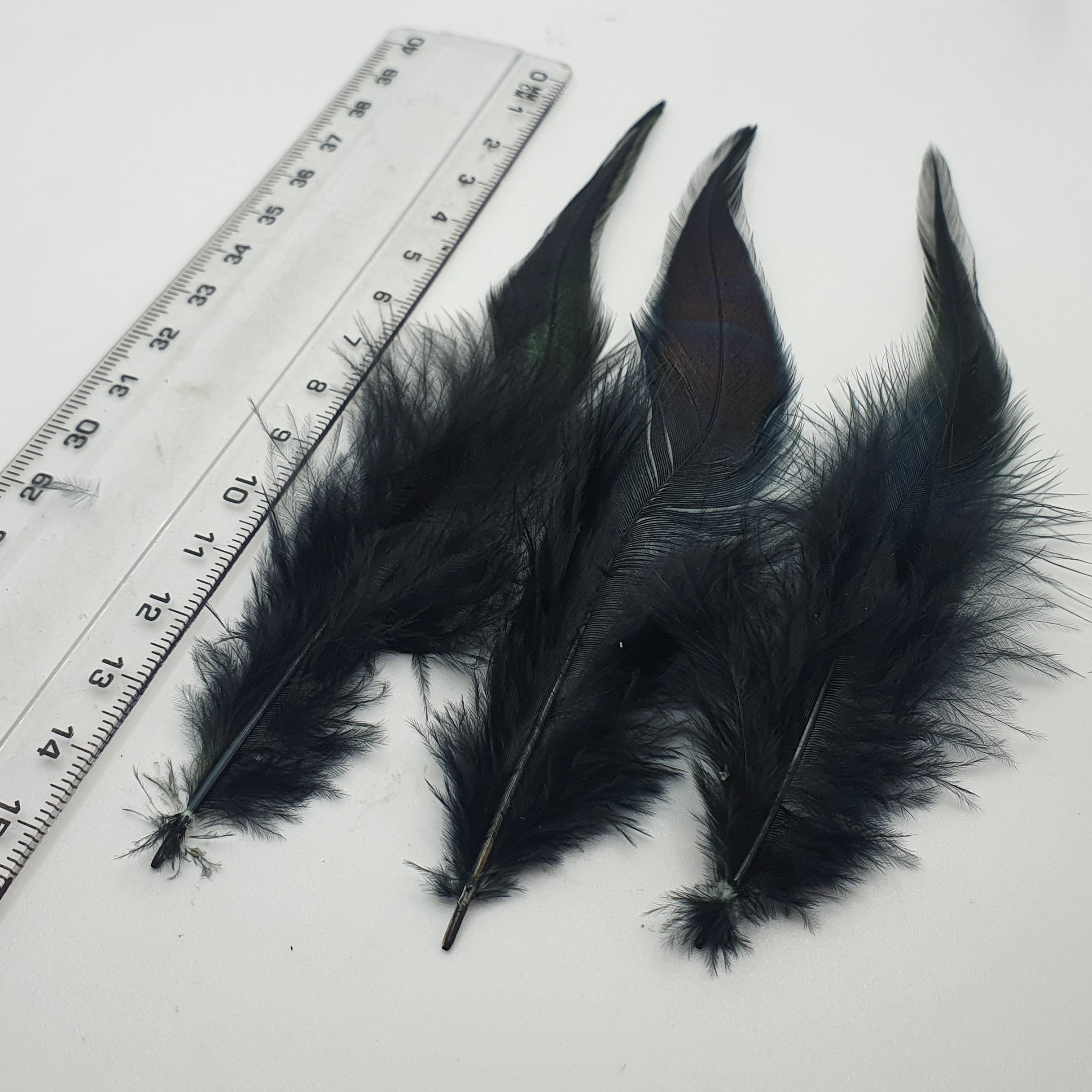 Black Cock Rooster Feathers Strung (Bundle)