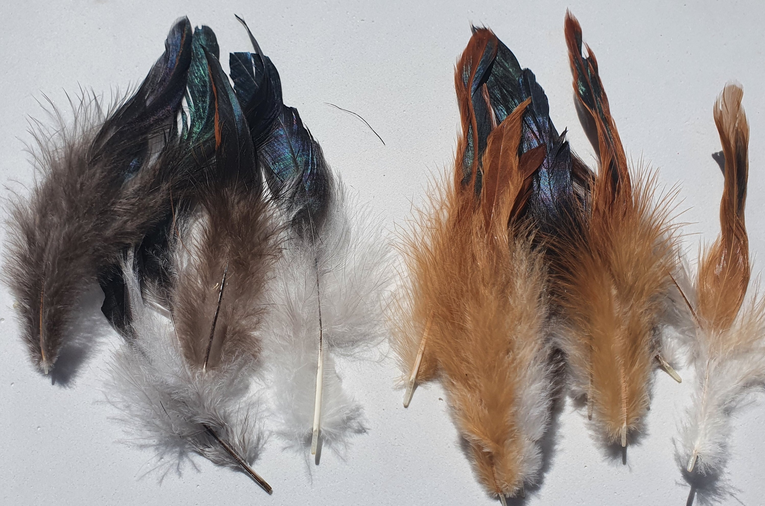 Rooster Feathers Loose, Natural (Undyed)