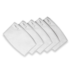 PM 2.5 Mask Filters (Pack of 5)