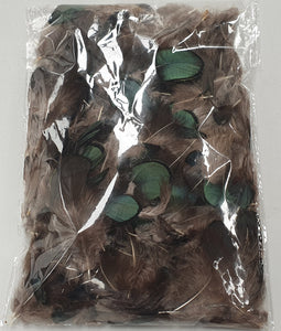 Green Lady Pheasant Feathers Loose