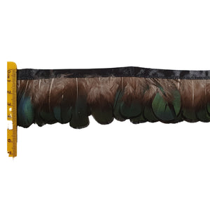 Green Lady Pheasant Feathers on band