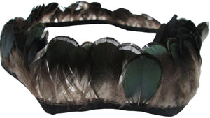 lady pheasant feathers
