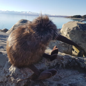 Kiwi toy; realistic