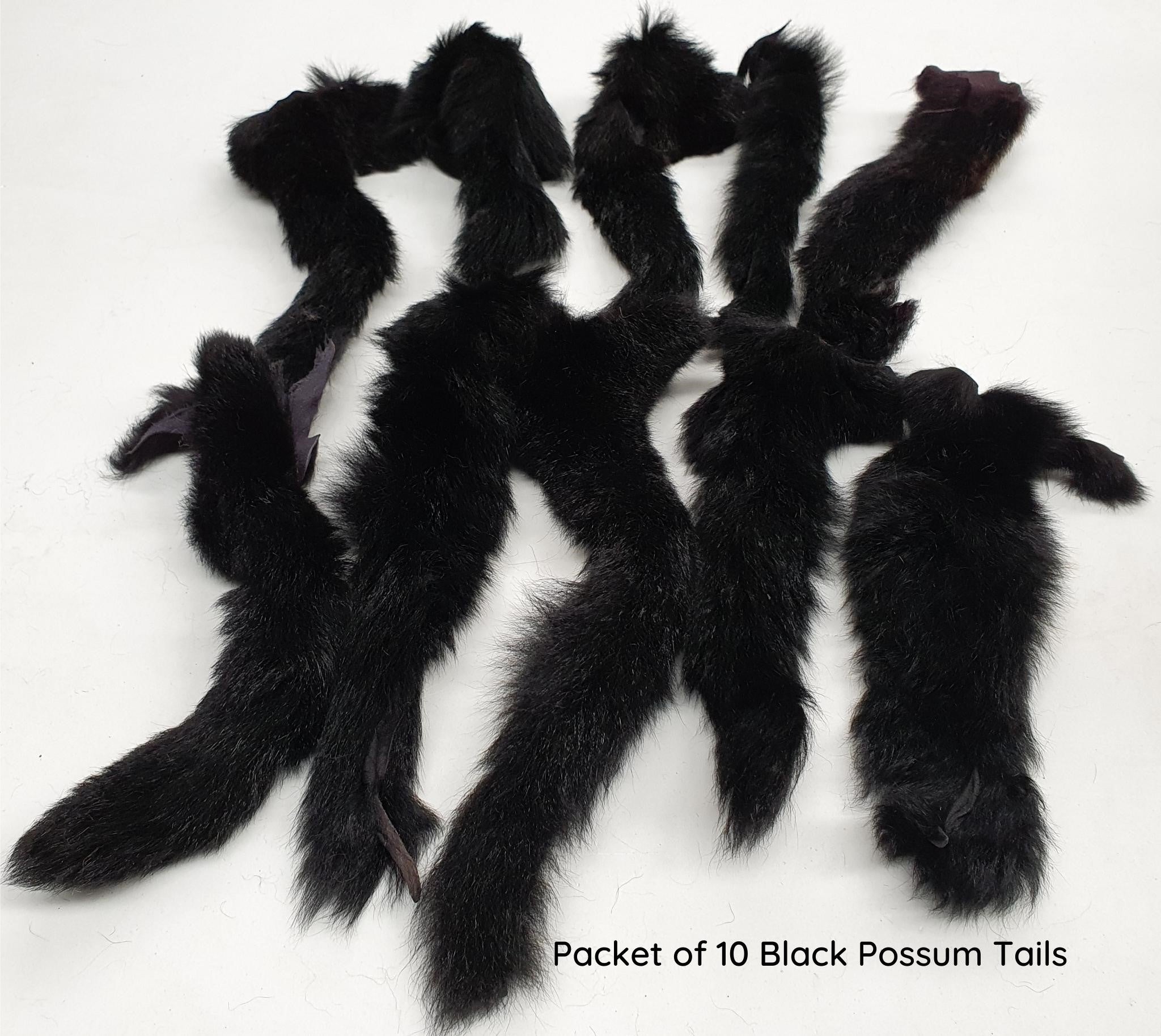 Possum Tails