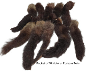 Possum Tails