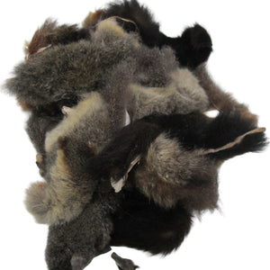 Possum pieces for craft