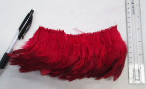 red feathers