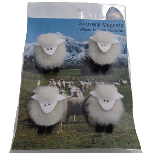 Sheep Magnets on Scenic card