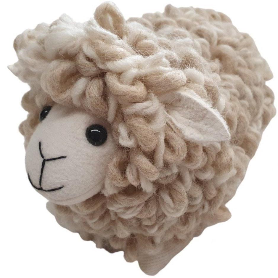 New-Zealand-curly-wool-sheep