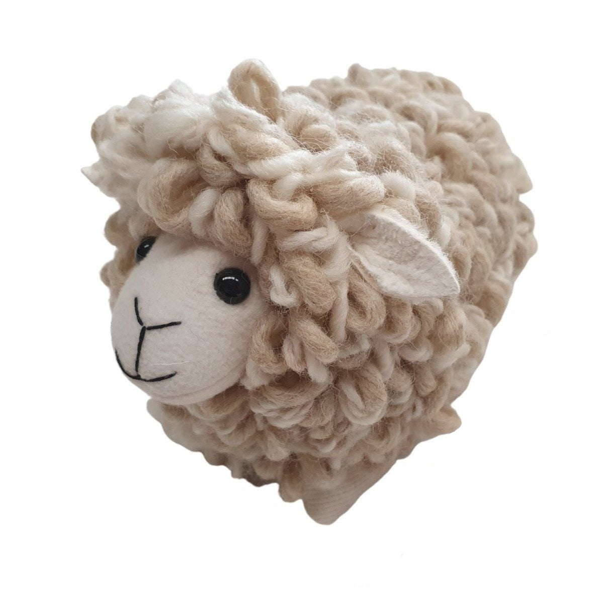 New-Zealand-curly-wool-sheep