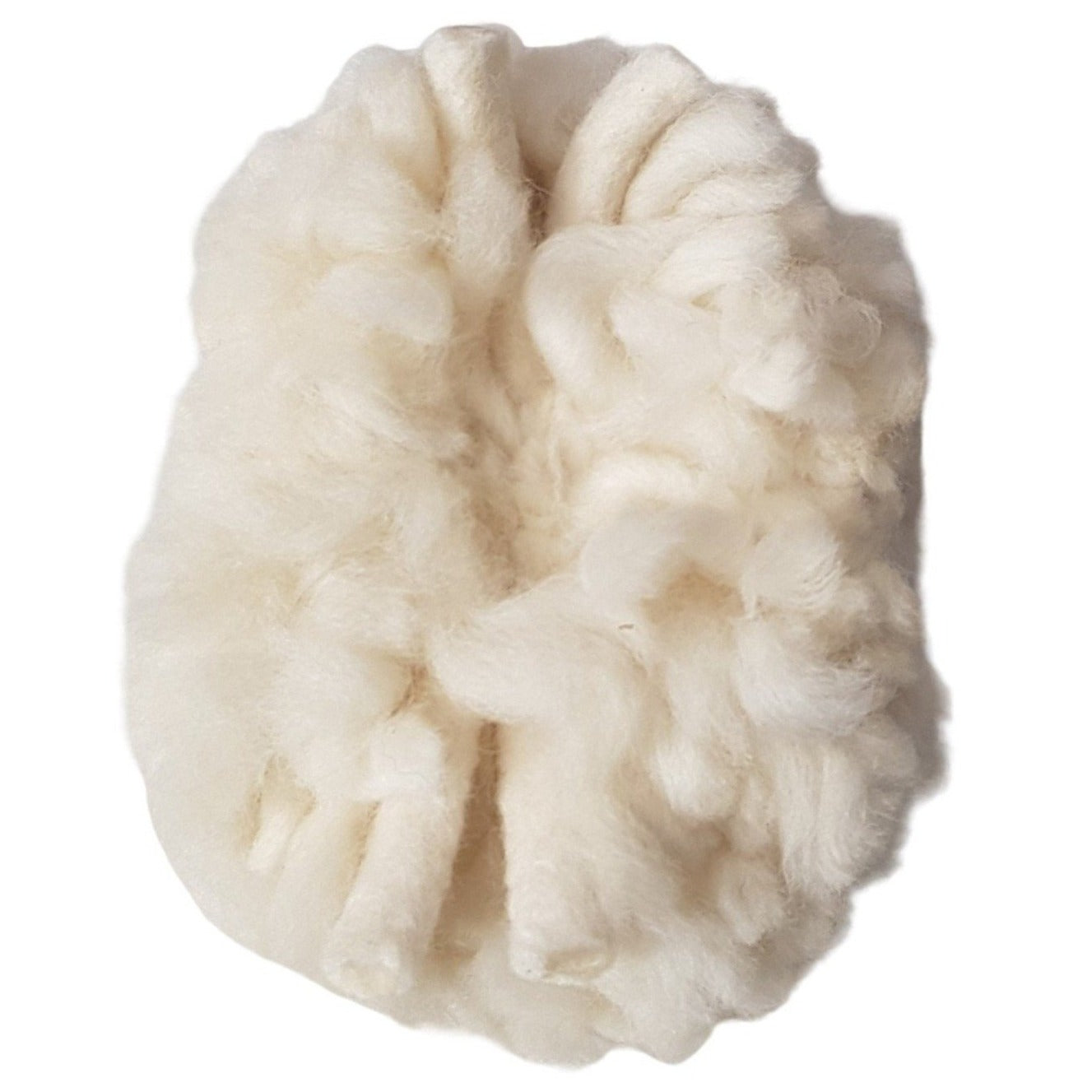 Toy sheep from underneath