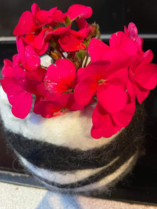 Felted Wool Plant Pots